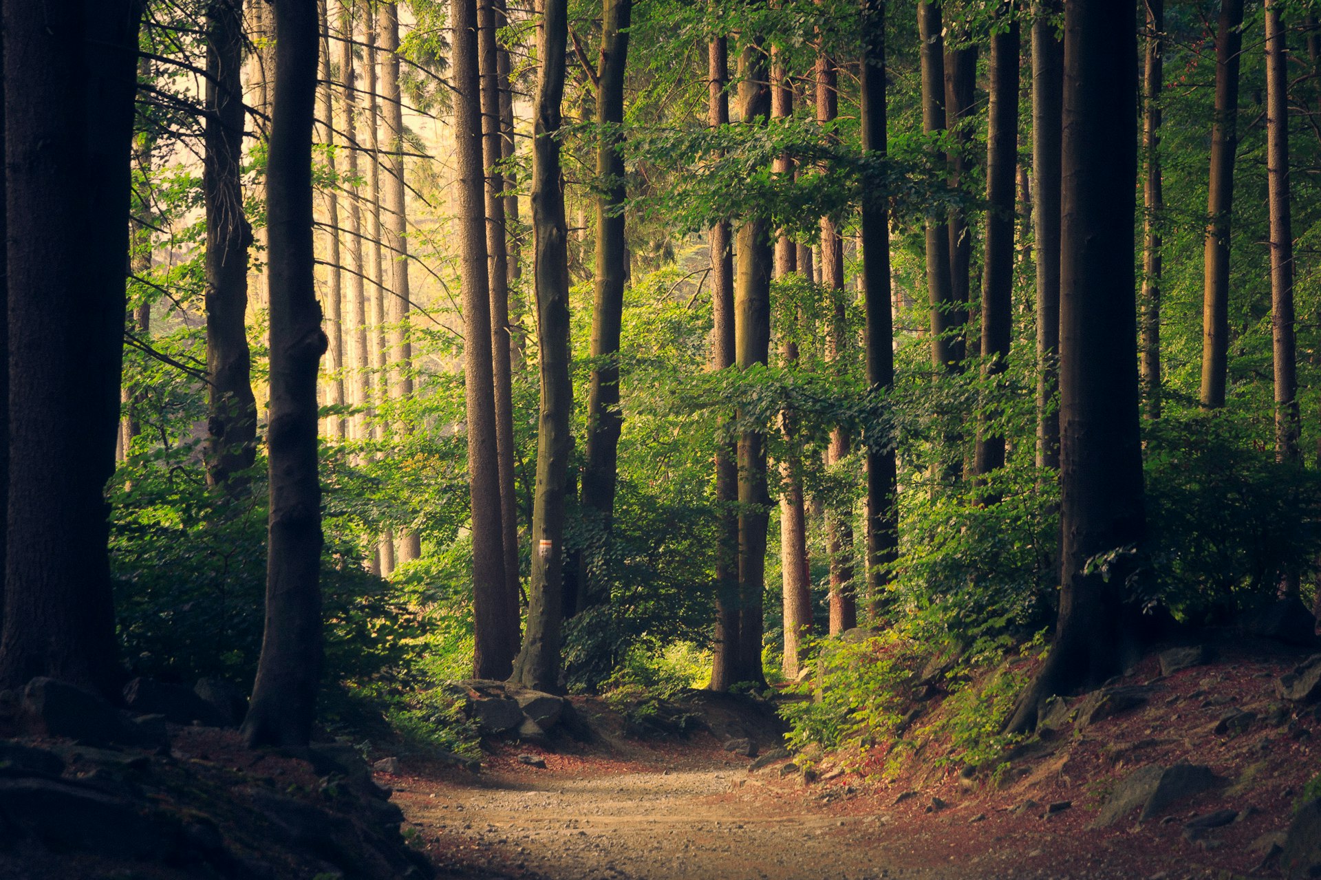 Nature Reserves & Parks